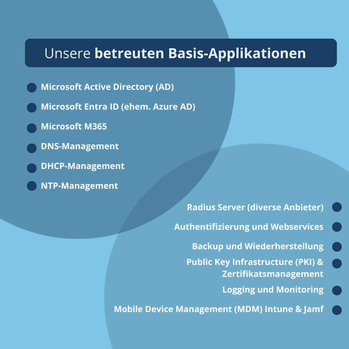 Unsere betreuten Basis-Applikationen | audius